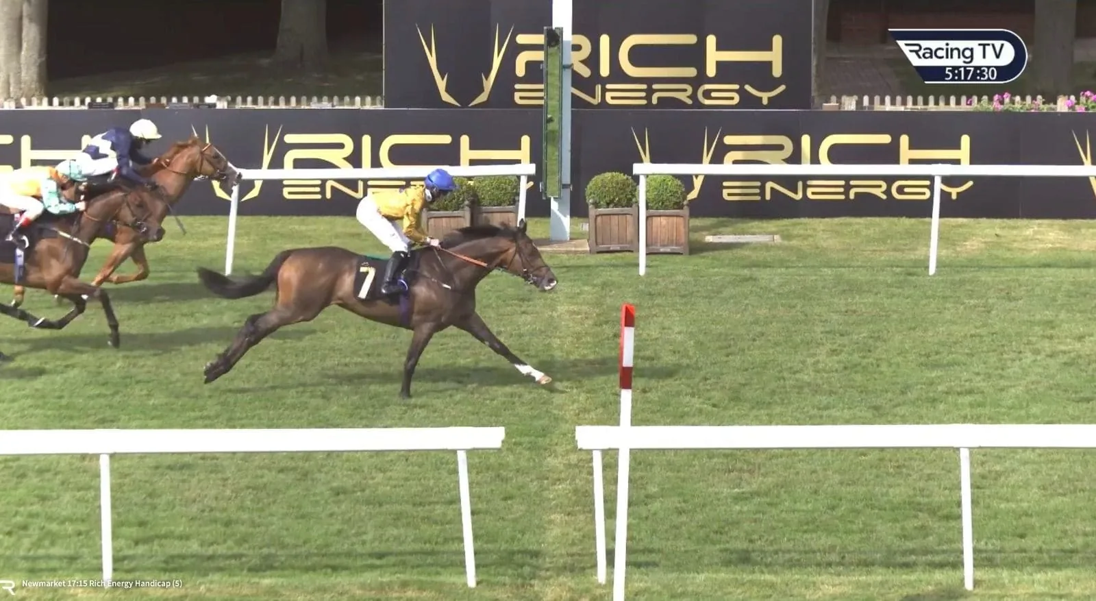 Rich Energy Handicap at Newmarket racecourse